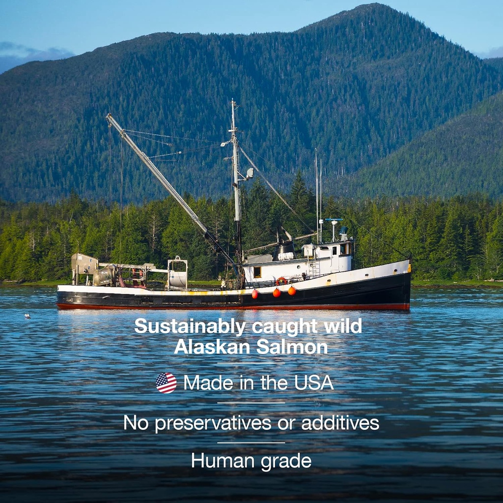 savvybeast-wild-alaskan-salmon-oil-for-d-4.jpg