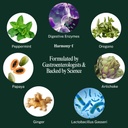 physician-formulated-glp-1-digestive-sup-3.jpg