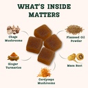 baker-s-botanics-menstrual-mushroom-gumm-4.jpg