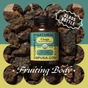 complete-natural-products-organic-chaga--4.jpg