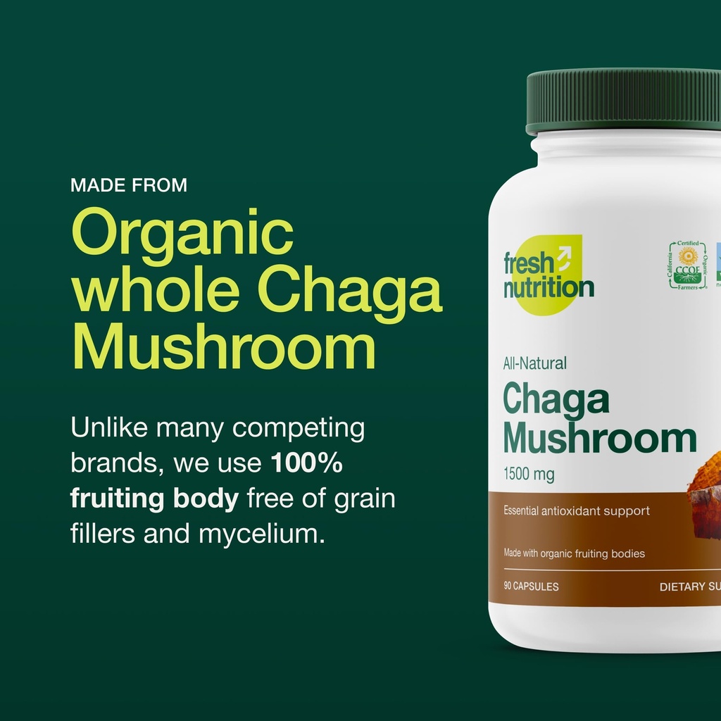 organic-chaga-mushrooms-strongest-dna-ve-3.jpg