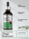 horbaach-chaga-mushroom-extract-2-fl-oz--4.jpg
