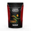 fadogia-agrestis-extract-pills-maximum-s-5.jpg