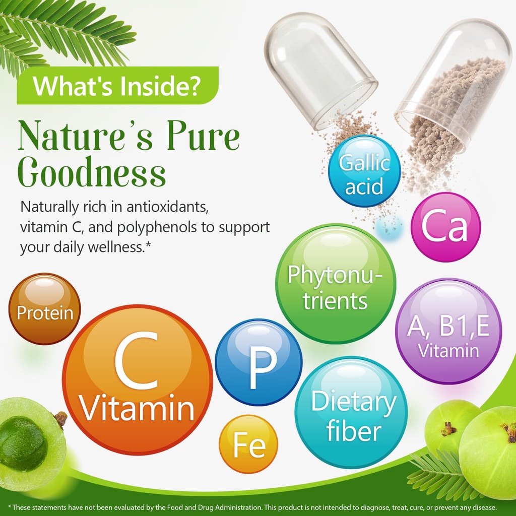 amla-fruit-supplement-1000mg-90-vegan-ca-3.jpg