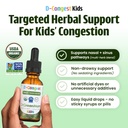 d-congest-aller-d-hist-bundle-for-allerg-4.jpg