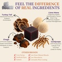 premium-mushroom-blend-high-potency-lion-4.jpg