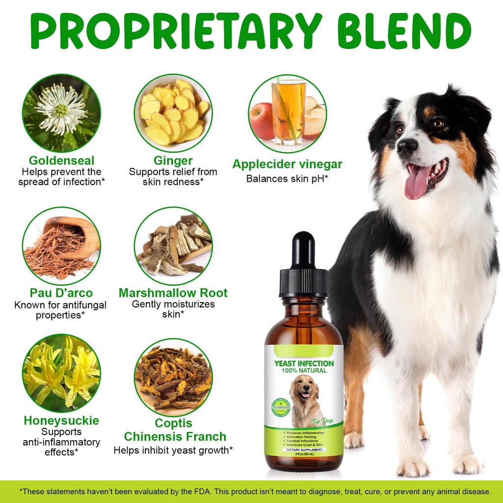 yeast-infection-for-dogs-natural-yeast-i-2.jpg