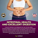 healblend-probiotic-caps-dietary-supplem-5.jpg