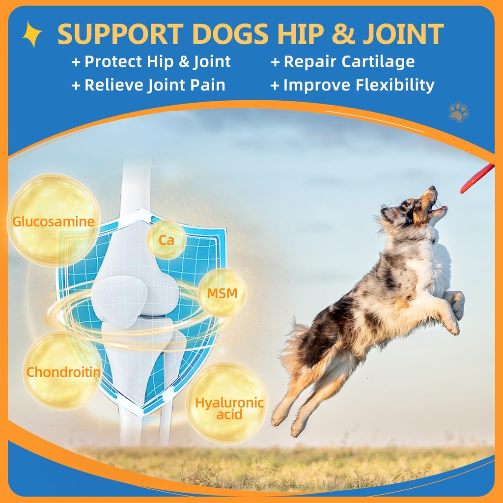 dog-multivitamin-powder-with-freeze-drie-4.jpg