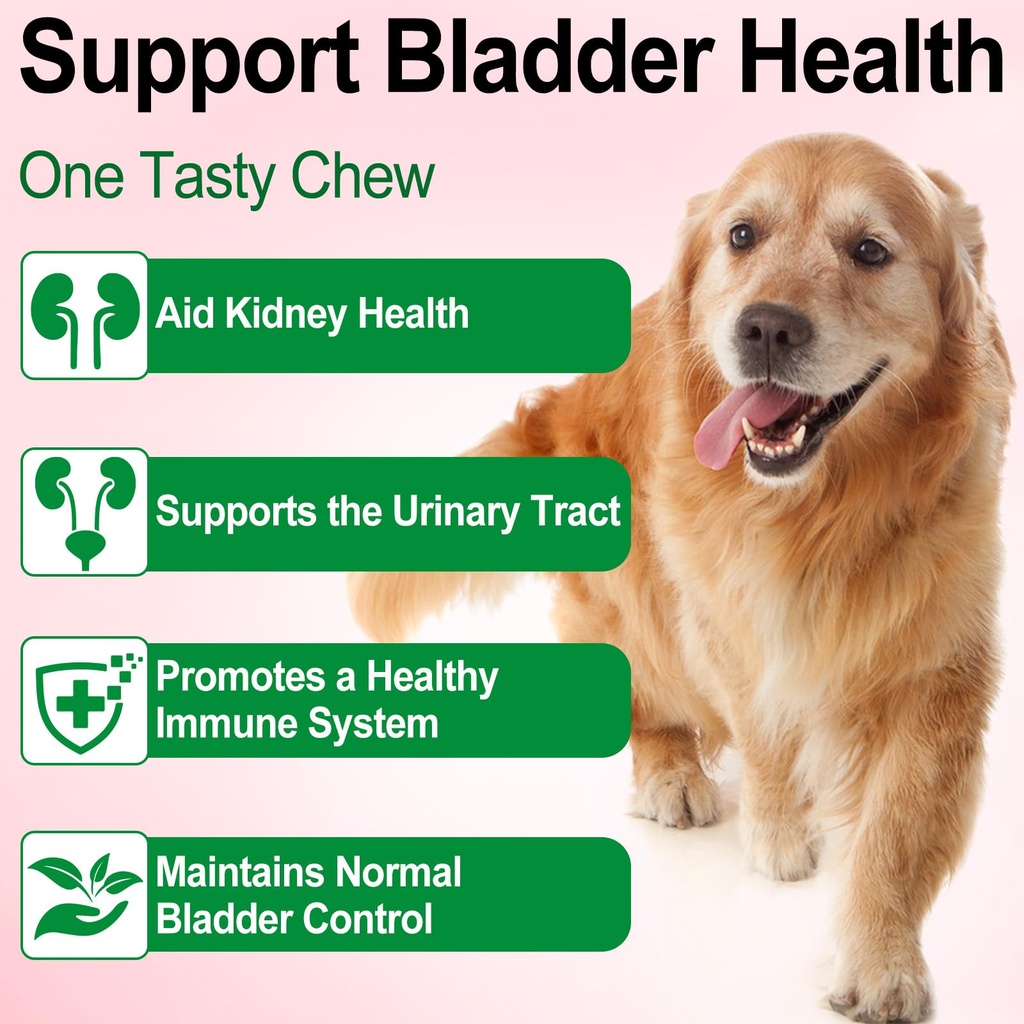 urinary-tract-for-dogs-dog-urinary-tract-6.jpg