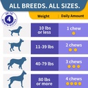probiotics-for-dogs-improve-itchy-skin-i-6.jpg
