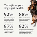 petlab-co-probiotic-chews-30-soft-chews--2.jpg