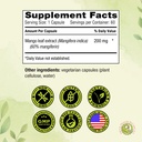mangoforte-mango-leaf-supplements-200-mg-5.jpg