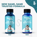 cat-eye-infection-vision-care-support-ho-2.jpg