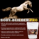 pennwoods-body-builder-pro-horse-weight--4.jpg