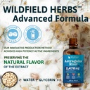 4-oz-astragalus-extract-liquid-drops-200-6.jpg