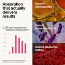 the-absorption-company-calm-powder-magne-4.jpg