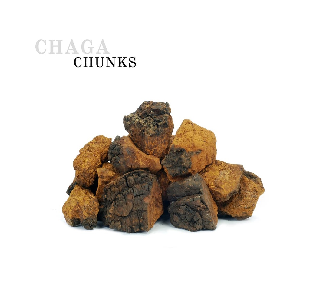 siberian-chaga-mushroom-whole-chunks-wil-3.jpg