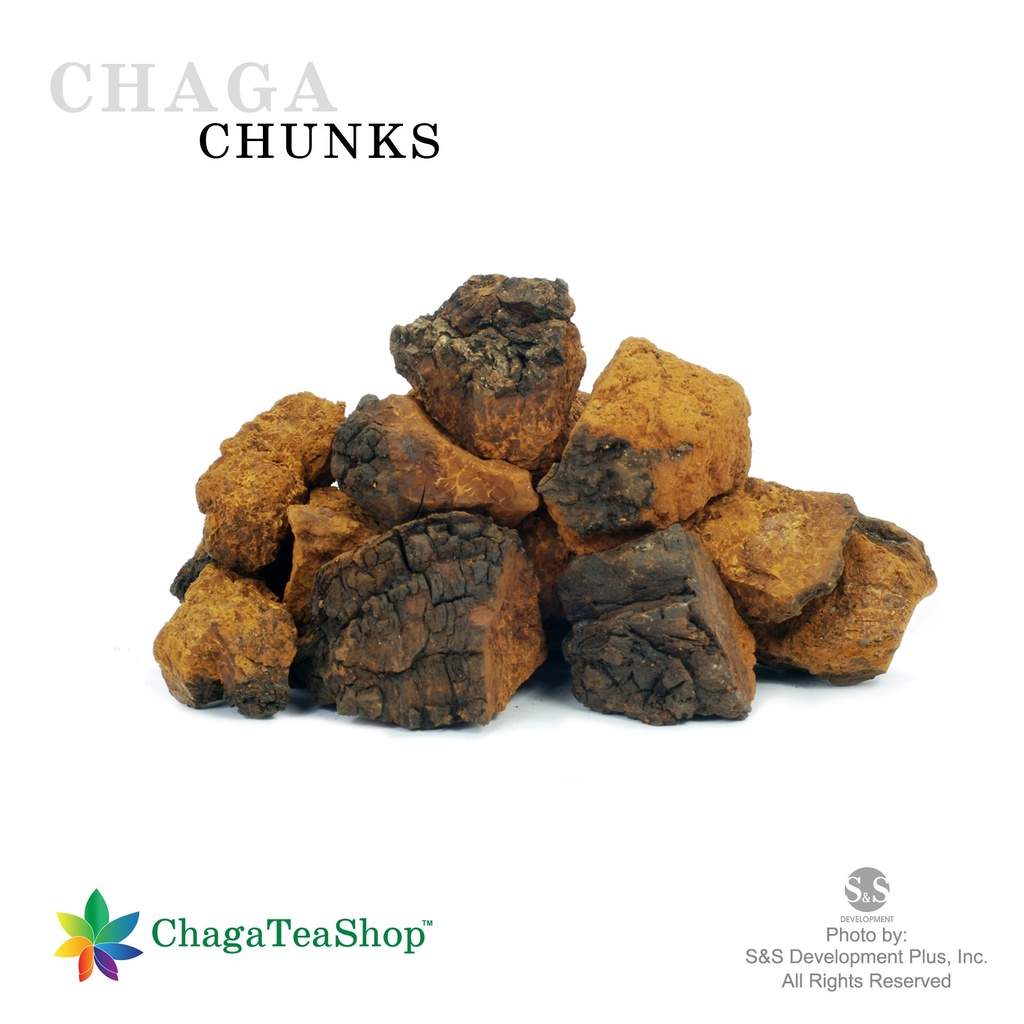 siberian-chaga-mushroom-chunks-wild-harv-3.jpg