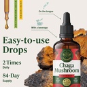herbamama-chaga-mushroom-drops-immune-an-6.jpg