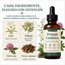 mayaverra-drenaje-linf-tico-gotas-drenaj-5.jpg