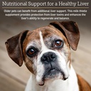 rx-vitamins-hepato-support-for-dogs-cats-3.jpg