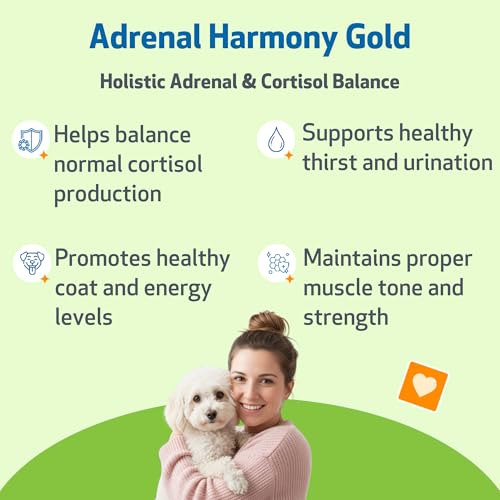 pet-wellbeing-adrenal-harmony-gold-organ-3.jpg