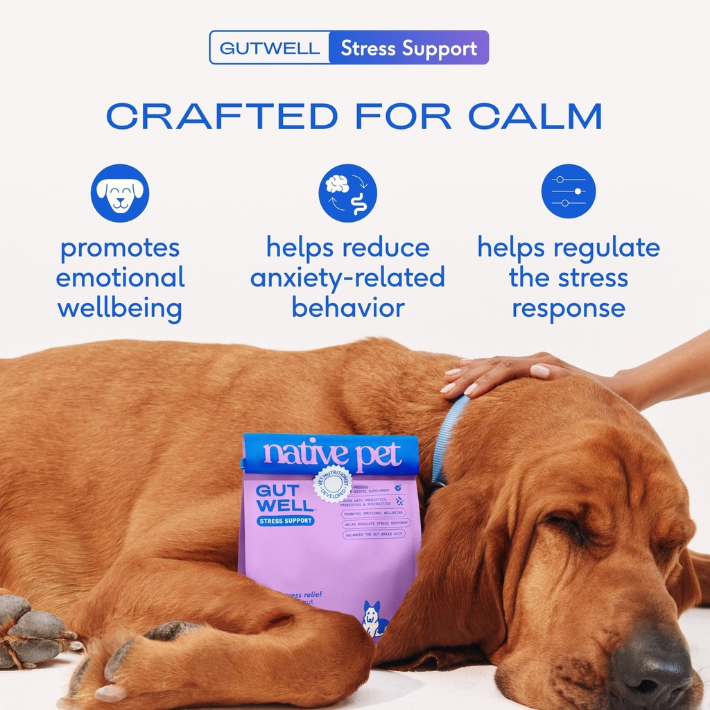 native-pet-stress-support-multivitamin-b-2.jpg
