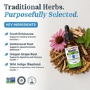 nature-s-biotic-kids-immune-support-drop-6.jpg