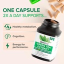 zenwise-health-green-tea-extract-capsule-3.jpg