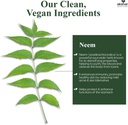 akshar-ayurveda---neem-capsules-with-nee-4.jpg