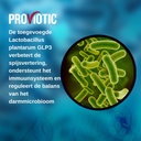 vegan-probiotic-supplement---patented-fo-4.jpg