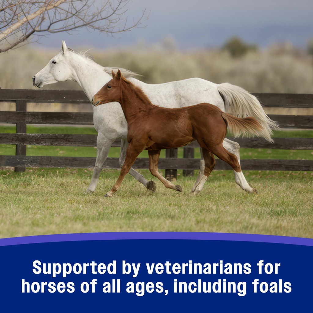 farnam-sandclear-crumbles-psyllium-diges-6.jpg