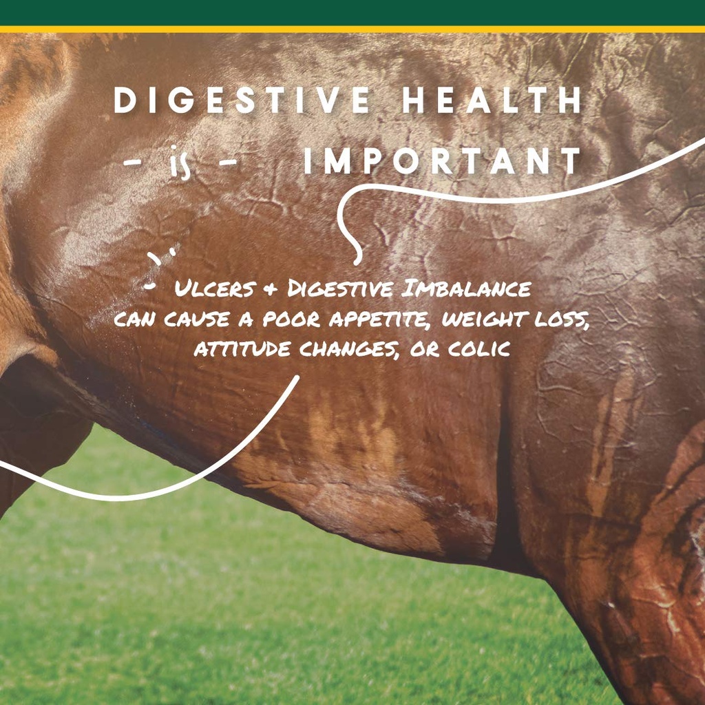 corta-flx-u-gard-pellets-for-horses-dige-3.jpg