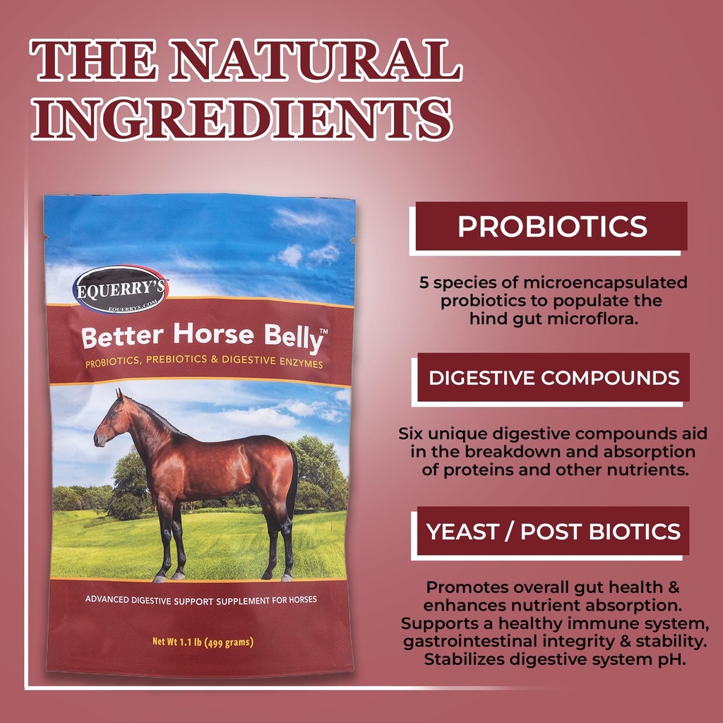 equerry-s-better-horse-belly-gut-support-3.jpg