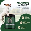 pure-green-lipped-mussel-powder-for-dogs-2.jpg