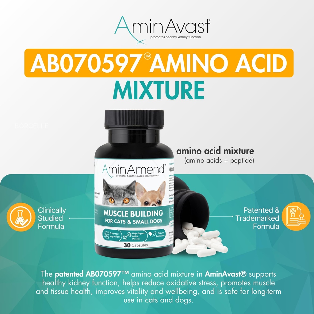 aminavast-kidney-support-for-cats-small--3.jpg