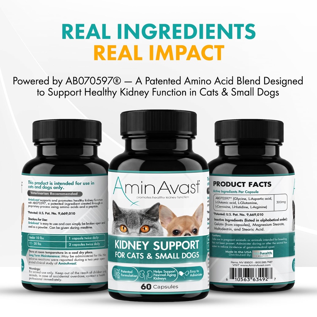 aminavast-kidney-support-for-cats-small--4.jpg