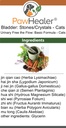 cat-small-dogs-bladder-remedy-for-stones-3.jpg