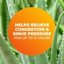 zicam-extreme-congestion-relief-nasal-sp-6.jpg