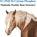su-per-di-calcium-phosphate-horse-minera-3.jpg