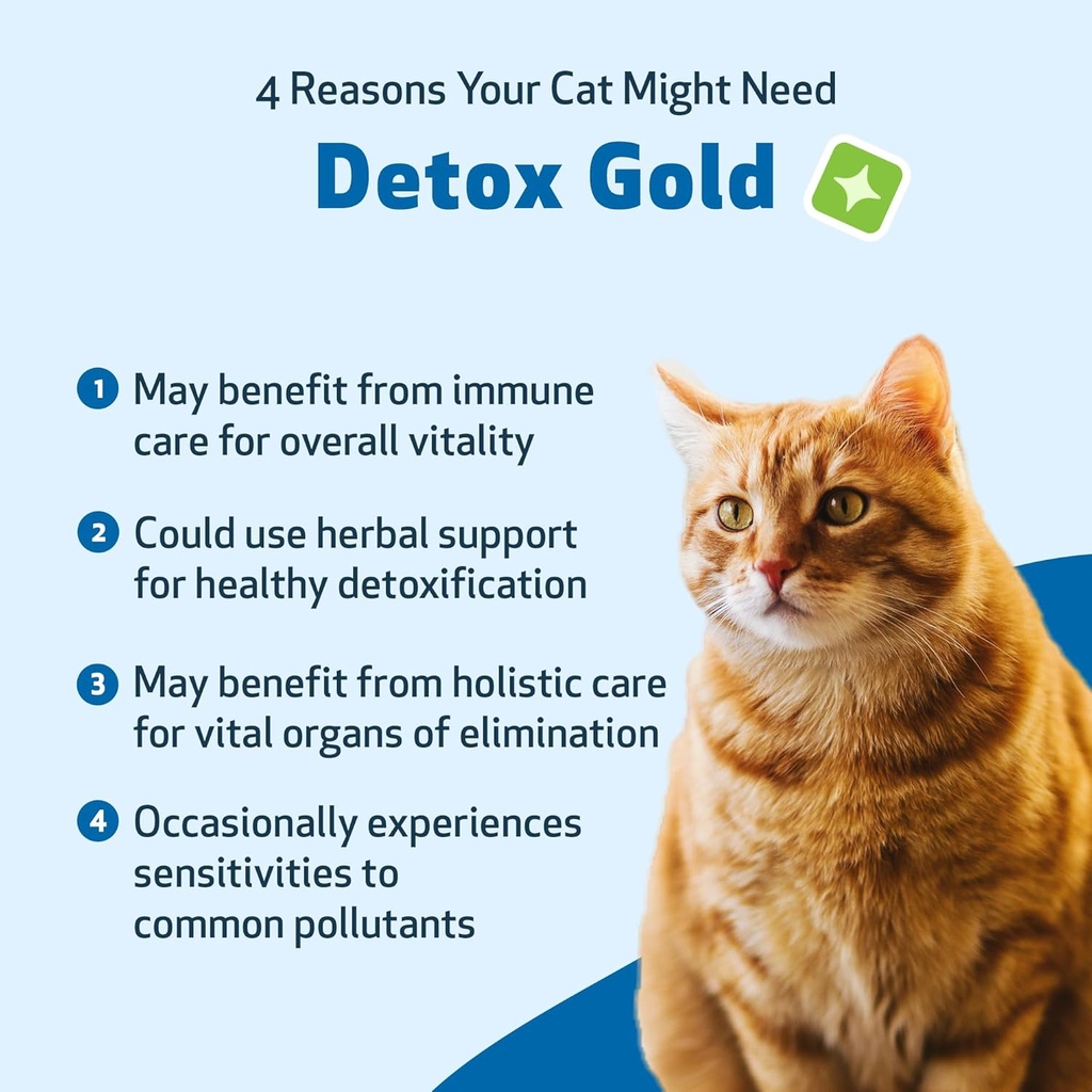 pet-wellbeing-detox-gold-for-cats---gent-3.jpg