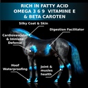 equine-horse-oil-supplement-3-natural-oi-81b7zYVXbVL.jpg
