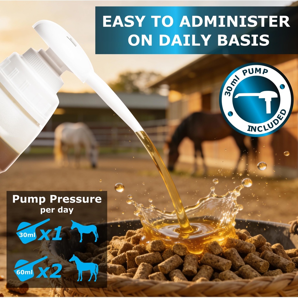equine-horse-oil-supplement-3-natural-oi-81xL26bHYbL.jpg