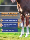 100-day-supply-equine-body-repair-protei-81aZMHYjukL.jpg