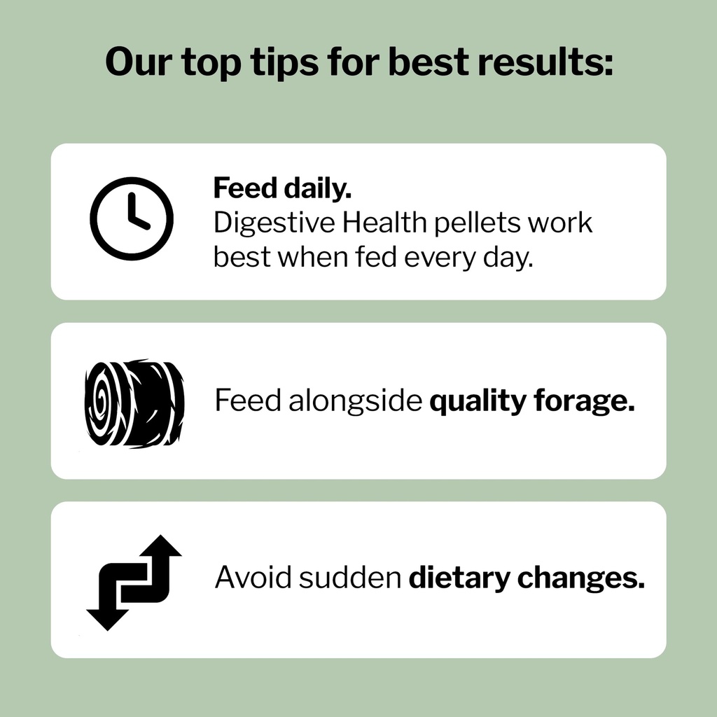 formula-707-digestive-health-supplement--61cQQIcdelL.jpg