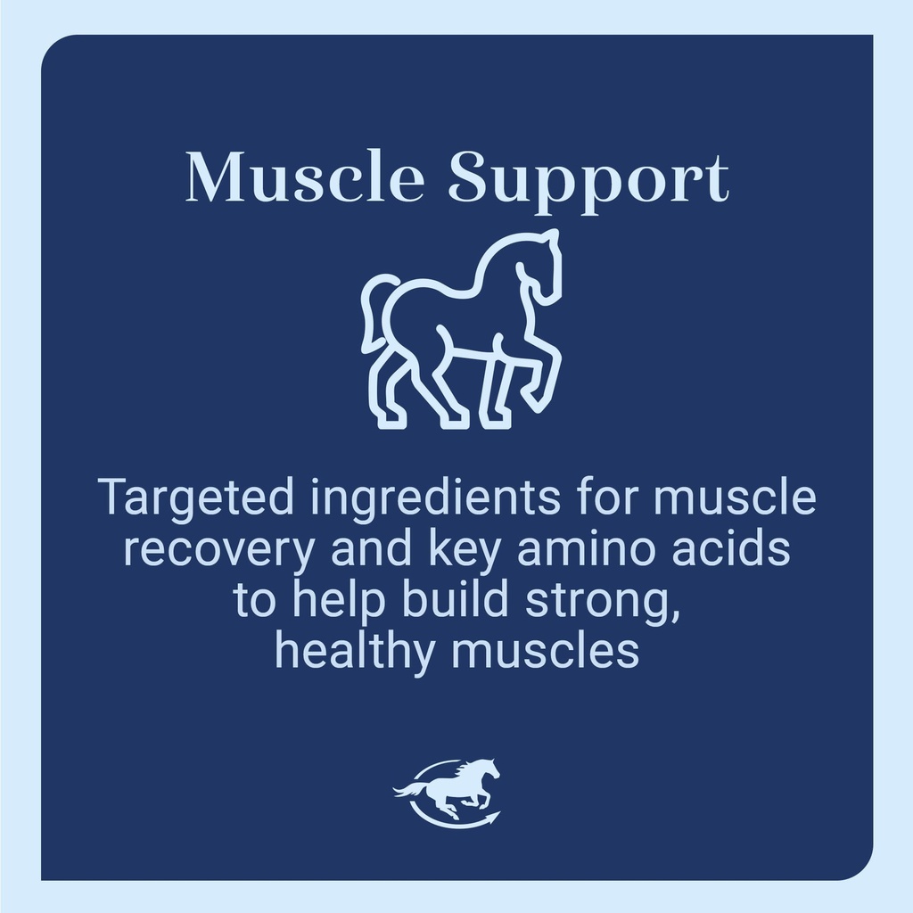 uckele-tri-amino-horse-supplement-equine-71uw1ttj0mL.jpg