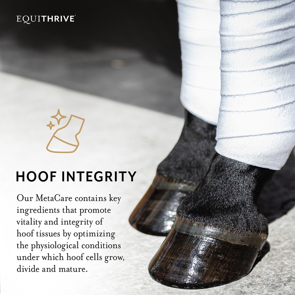 equithrive-metacare-pellets-horse-supple-81k-iV551SL.jpg