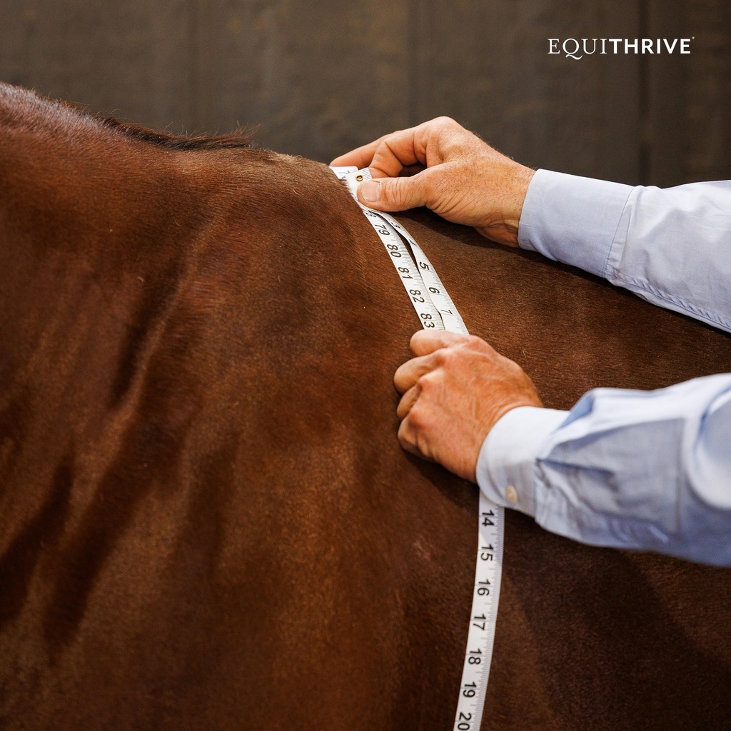 equithrive-metacare-pellets-horse-supple-91YUiV2FjBL.jpg