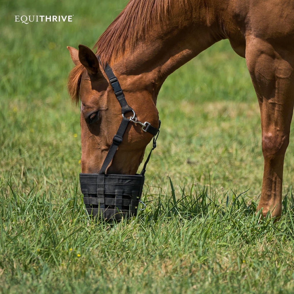 equithrive-metacare-pellets-horse-supple-91tSID8zJWL.jpg